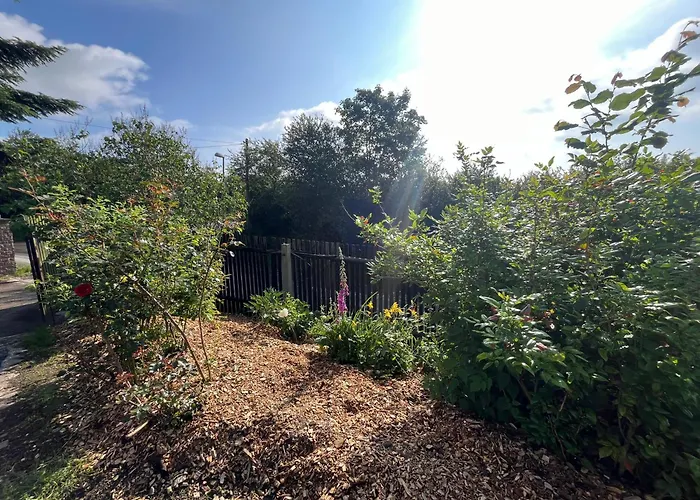 Tolles Ferienhaus Frohnatur Mit Sauna In Ruhiger Lage