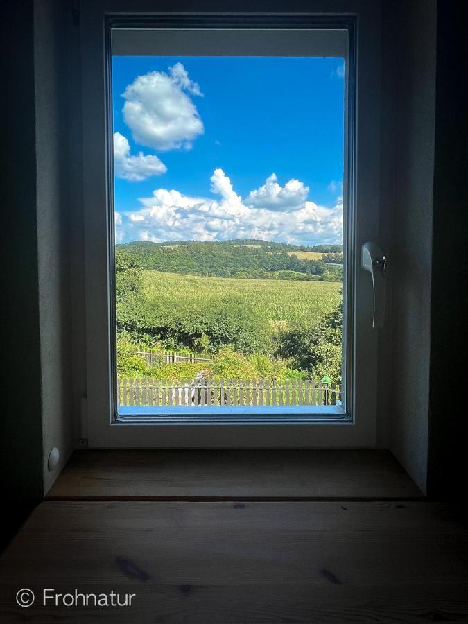 Tolles Frohnatur Mit Sauna In Ruhiger Lage * Plauen
